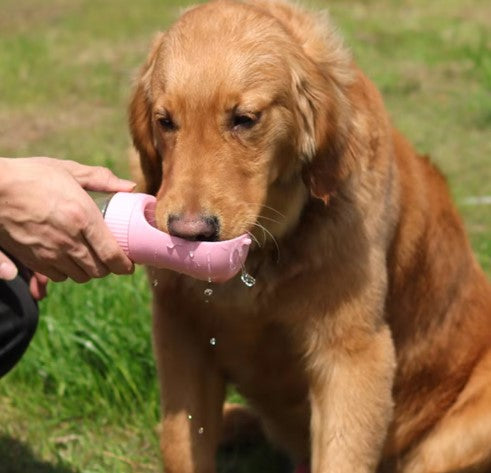 Pet feeder and hydration tool.